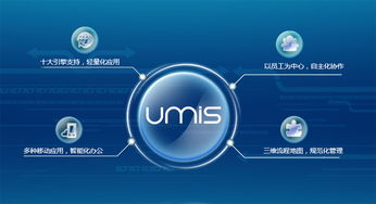 上?；ヂ摼W軟件集團 高端協同管理軟件產品和咨詢服務提供商